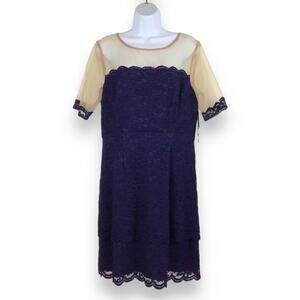 Cynthia Steffe Lace Sheath Dress Navy Blue size 12 NWT